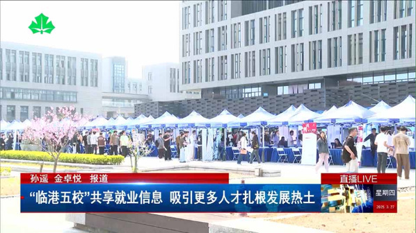 《教视新闻》“临港五校”共享就业信息 吸引更多人才扎根发展热土